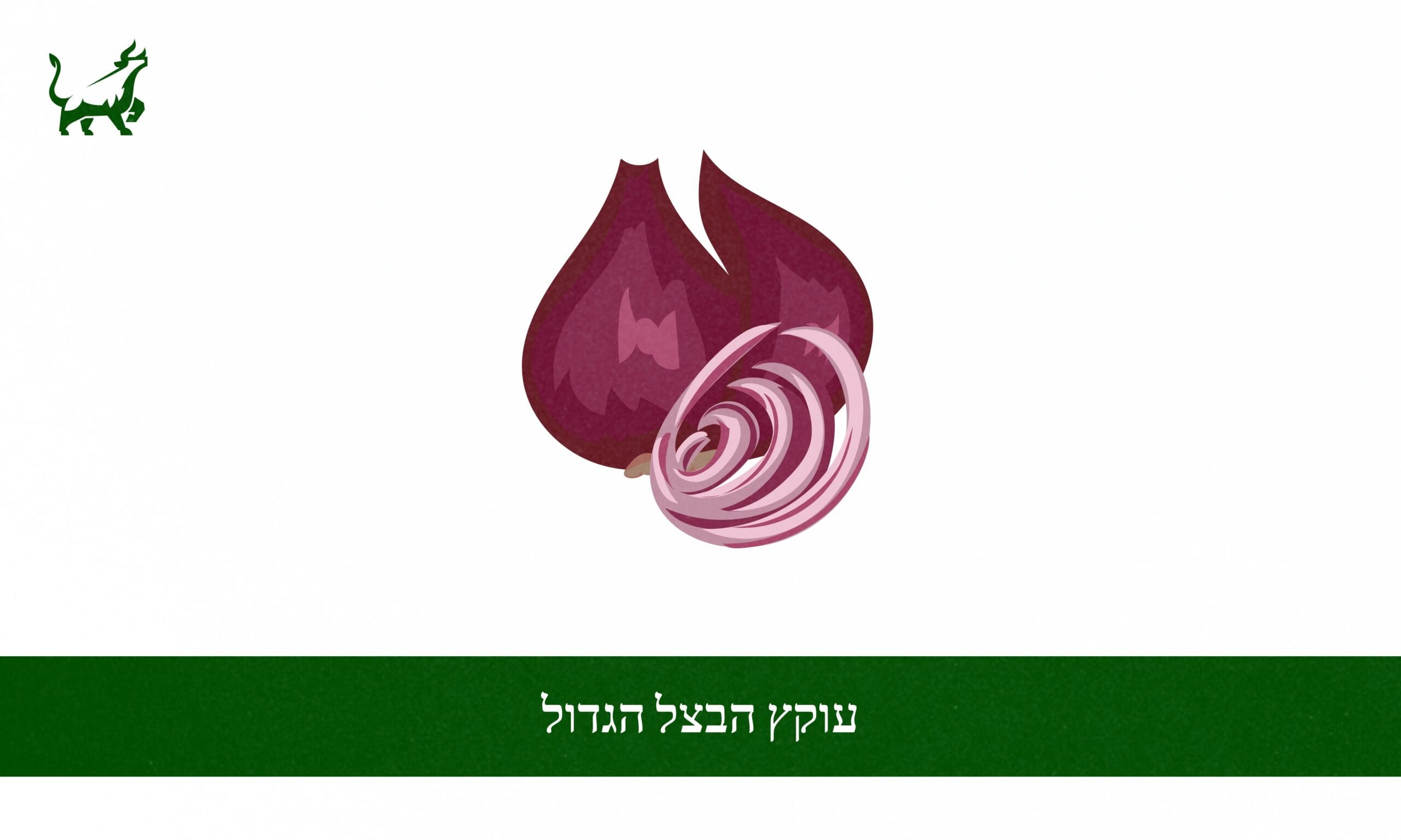 עוקץ הבצל